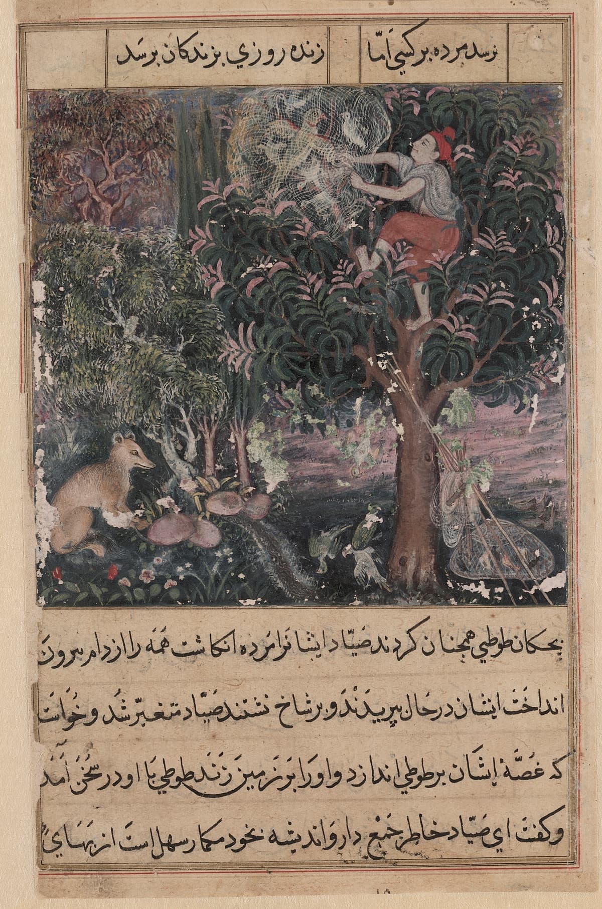 The hunter throws away the baby parrots, who pretend to be dead, and captures the mother, from a Tuti-nama (Tales of a Parrot): Fifth Night