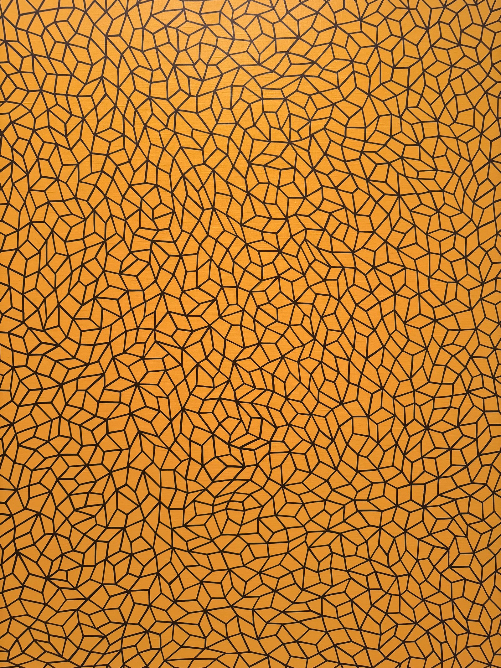Yayoi Kusama's Infinity Nets painting photographed in an Amsterdam museum
