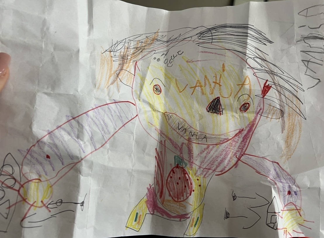 Elaborate colorful crayon drawing of person named Vanja with detailed face hair clothes and decorative elements showing identity expression